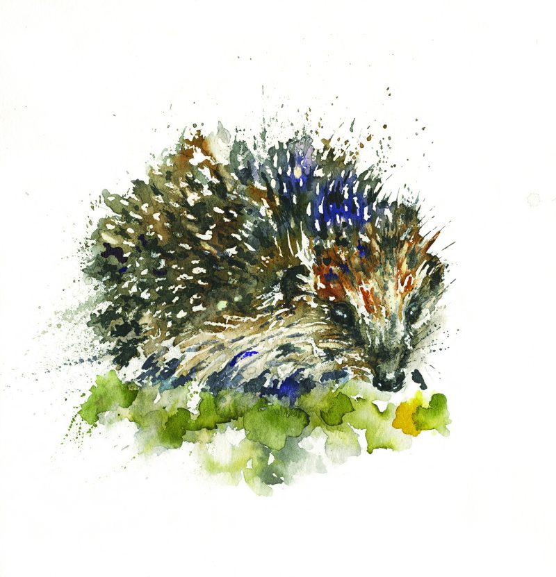 ‘Hannah’ Greeting Card