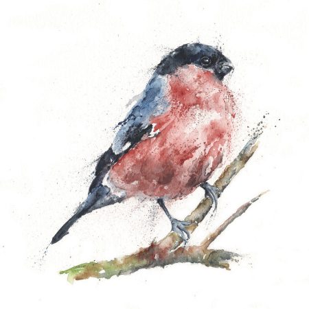‘Ben’ Bullfinch Greeting Card
