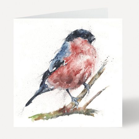 ‘Ben’ Bullfinch Greeting Card