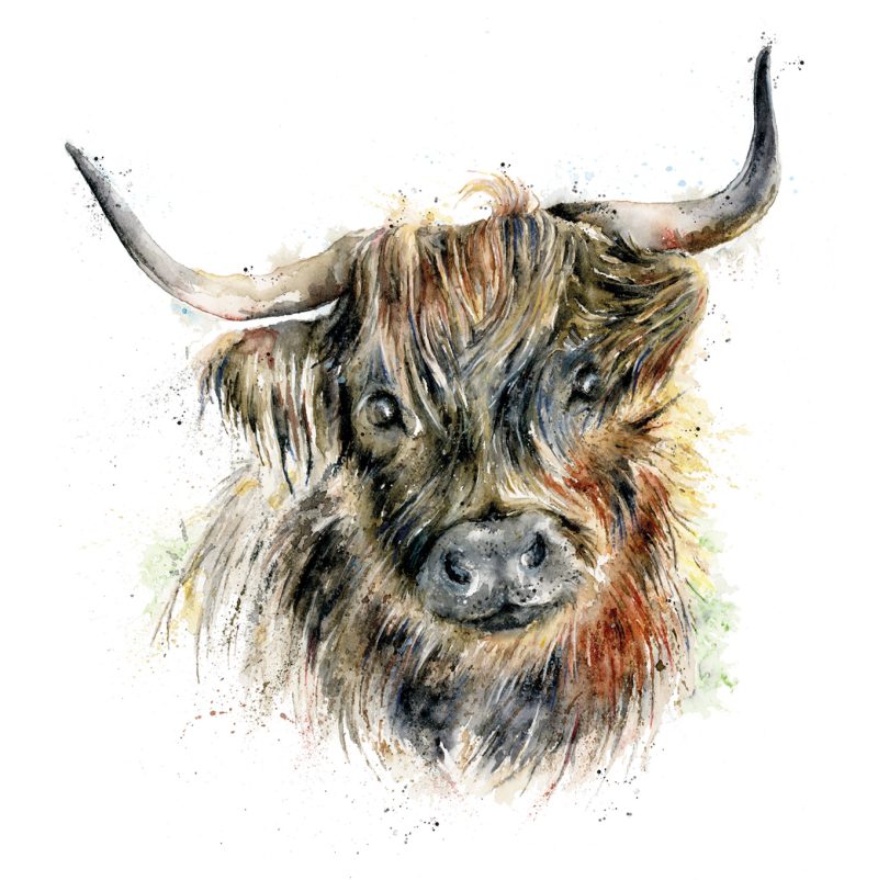 ‘Harry’ Highland Bull Greeting Card