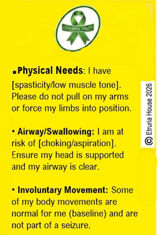 Medical alert. Cerebral Palsy, Disability badge+ loop fixing+Medic form