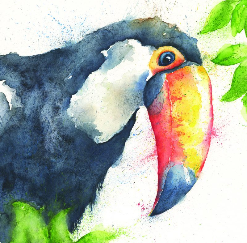 ‘Tate’ Toucan Greeting Card