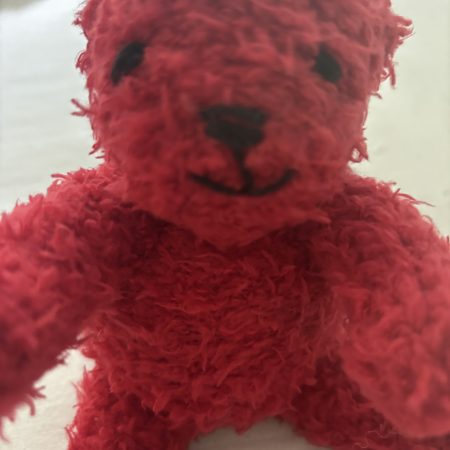 Hand Knitted 10 Inch Teddy Bear