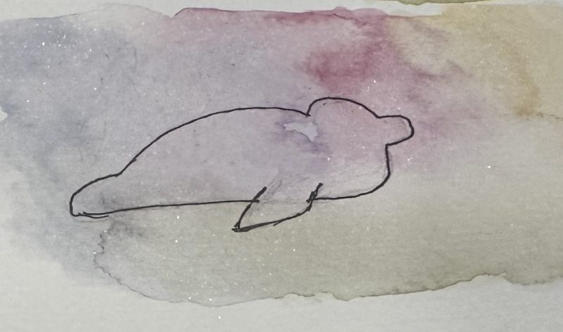 GRey seal artwork