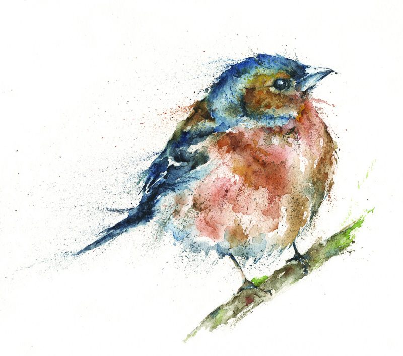 ‘Gabe’ Goldfinch Greeting Card