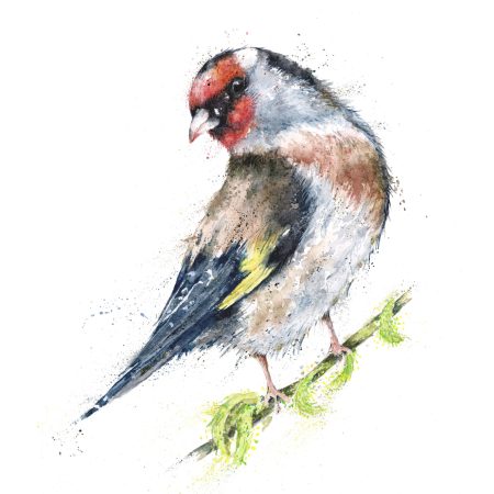 ‘Gabe’ Goldfinch Greeting Card
