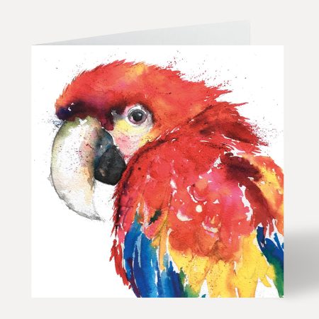 ‘Percy’ Parrot Greeting Card