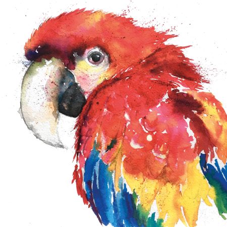 ‘Percy’ Parrot Greeting Card