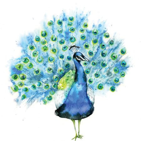 ‘Phillippe’ Peacock Greeting Card
