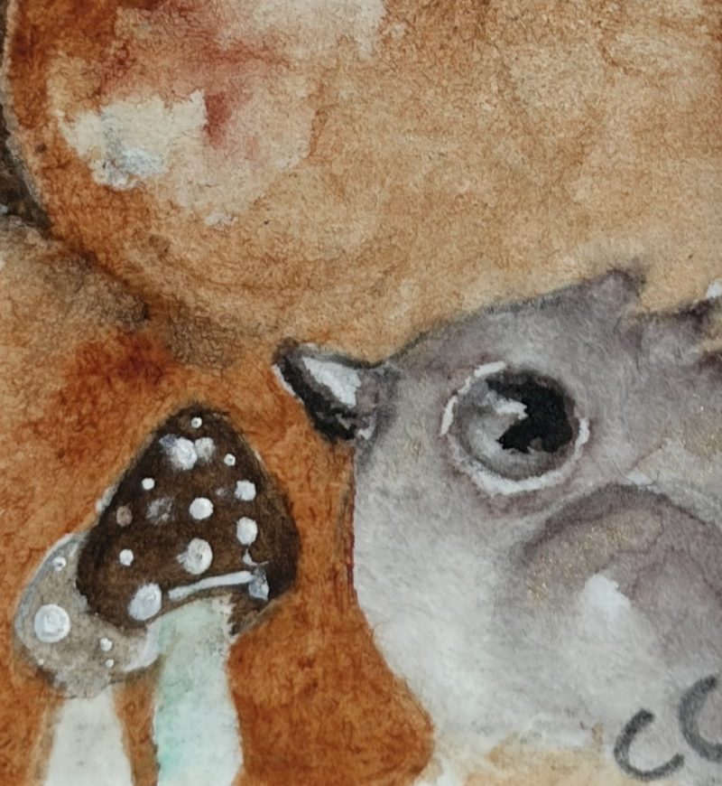Mounted Original ACEO Watercolour Resting Red Fox and Bird in Moonlight