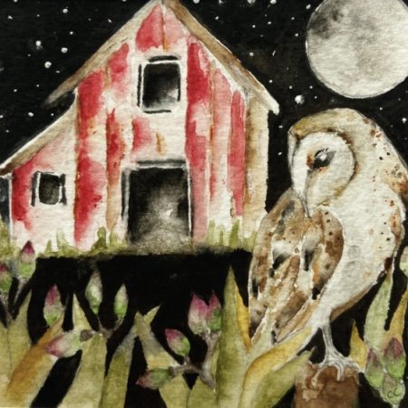Mounted Original Barn Owl Watercolour Painting Whimsical Wall Art