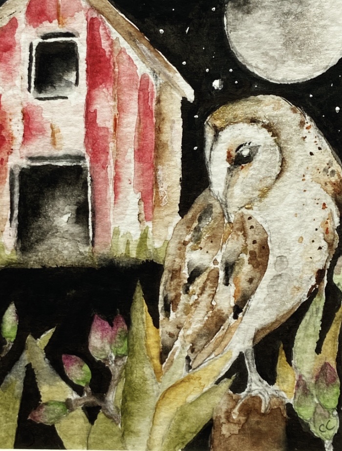 Mounted Original Barn Owl Watercolour Painting Whimsical Wall Art