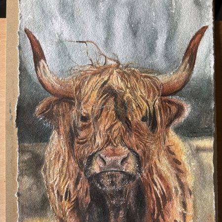 Highland cow portrait painting