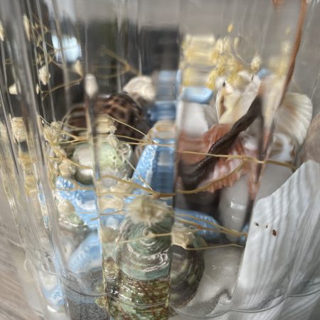 Beachcomber Seashell Table Lamp Base – Handmade Coastal Glass Lamp | Nautical Home Décor | One-of-a-Kind