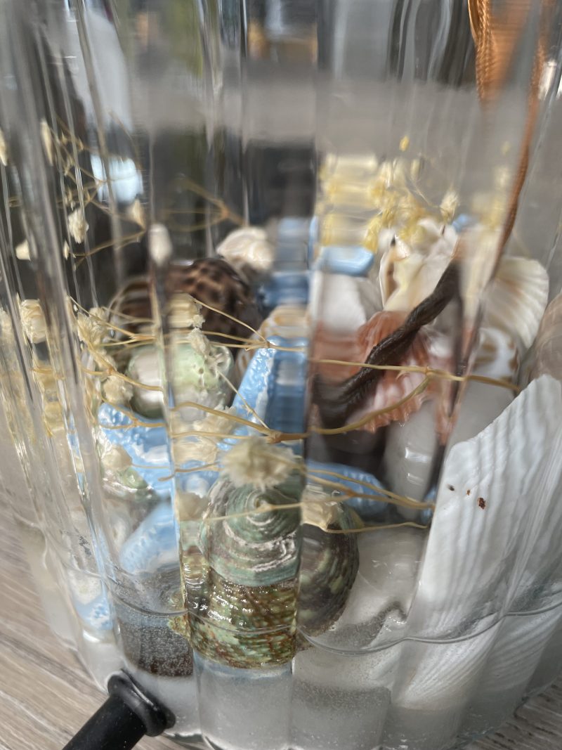 Beachcomber Seashell Table Lamp Base – Handmade Coastal Glass Lamp | Nautical Home Décor | One-of-a-Kind