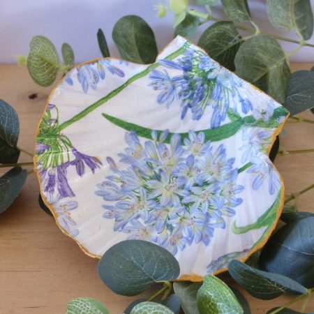 Scallop Shell Trinket Dishes