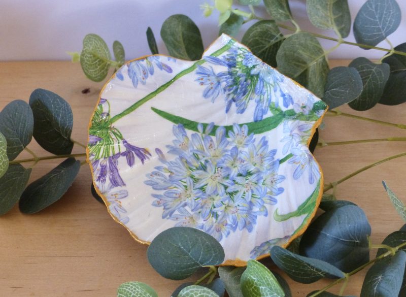 Scallop Shell Trinket Dishes