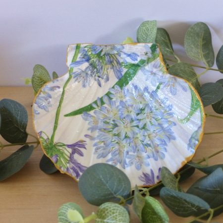 Scallop Shell Trinket Dishes