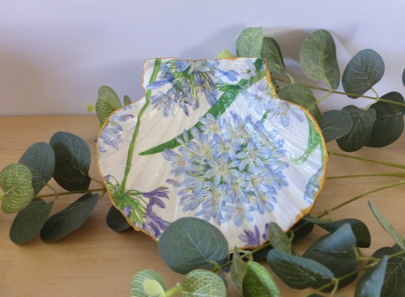 Scallop Shell Trinket Dishes