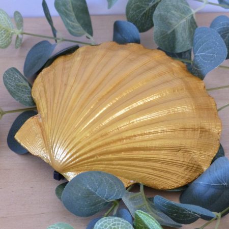 Scallop Shell Trinket Dishes