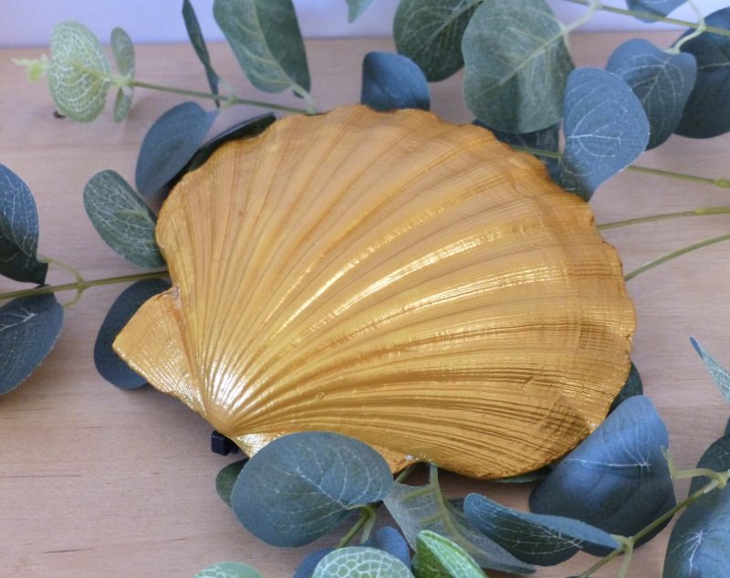 Scallop Shell Trinket Dishes