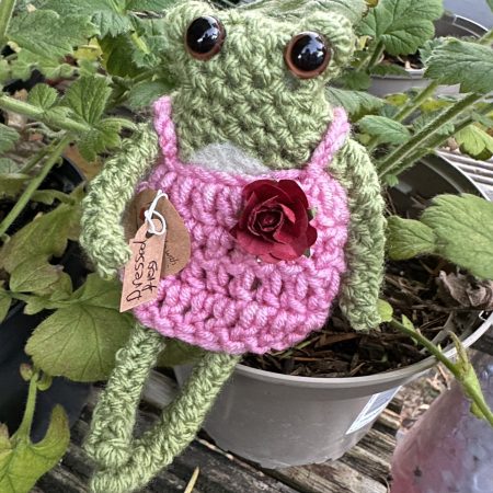 Dressed leggy frog companion