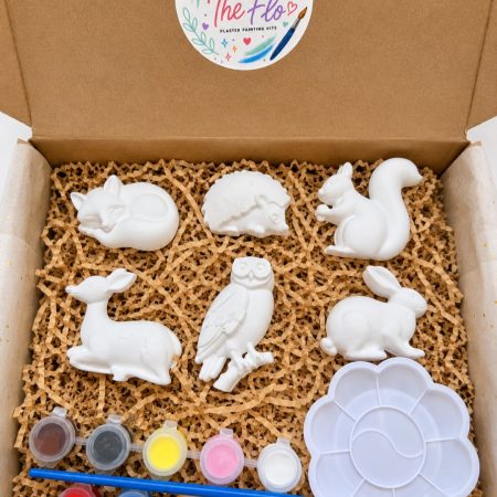 Paint Your Own Woodland Friends Plaster Kit 🎨🦉🦔
