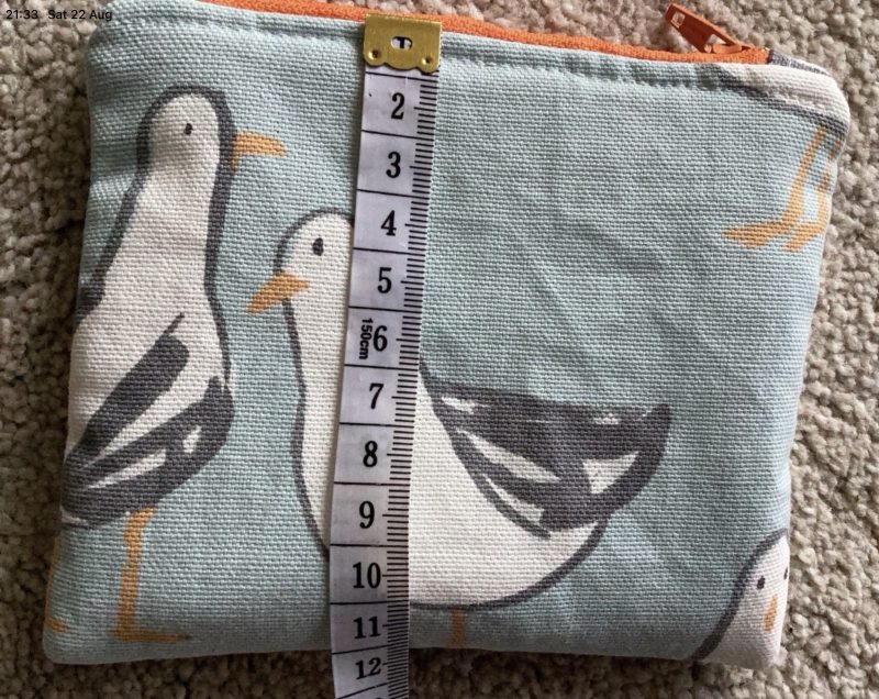 Quirky Fun Duck Egg Blue Seagull Print Small Coin/Card Purse