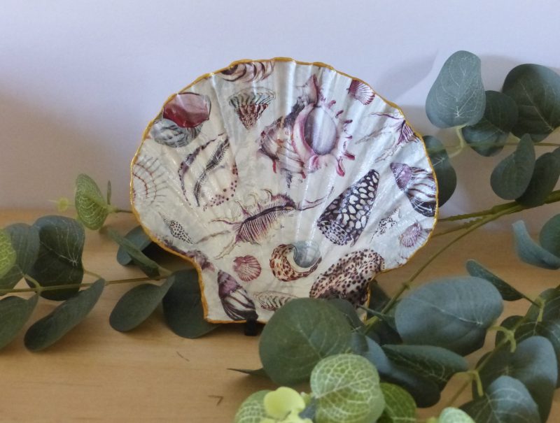 Scallop Shell Trinket Dishes