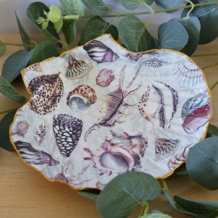 Scallop Shell Trinket Dishes