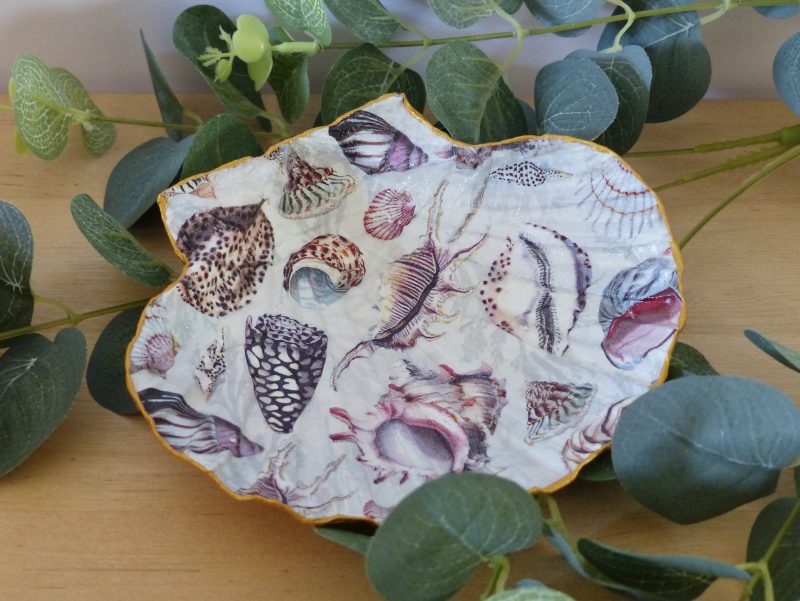 Scallop Shell Trinket Dishes