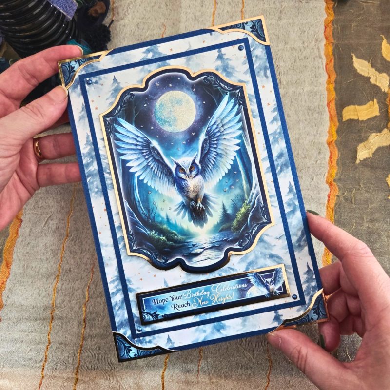 Handmade Owl Birthday Card In Deep Blue