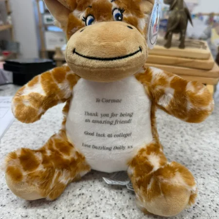 Personalised Printed Bear – Custom Teddy Gift for Any Occasion
