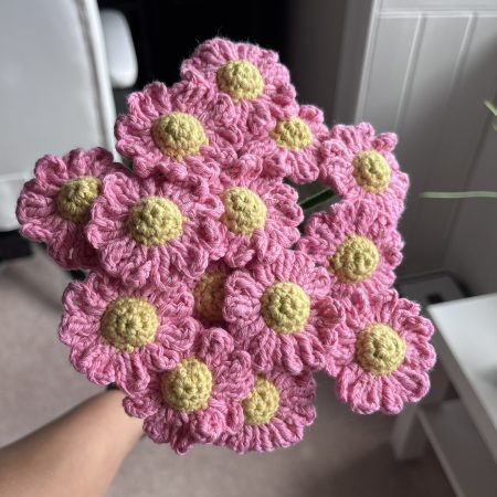 14 Handmade Crochet Daisy Flowers