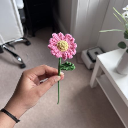 14 Handmade Crochet Daisy Flowers