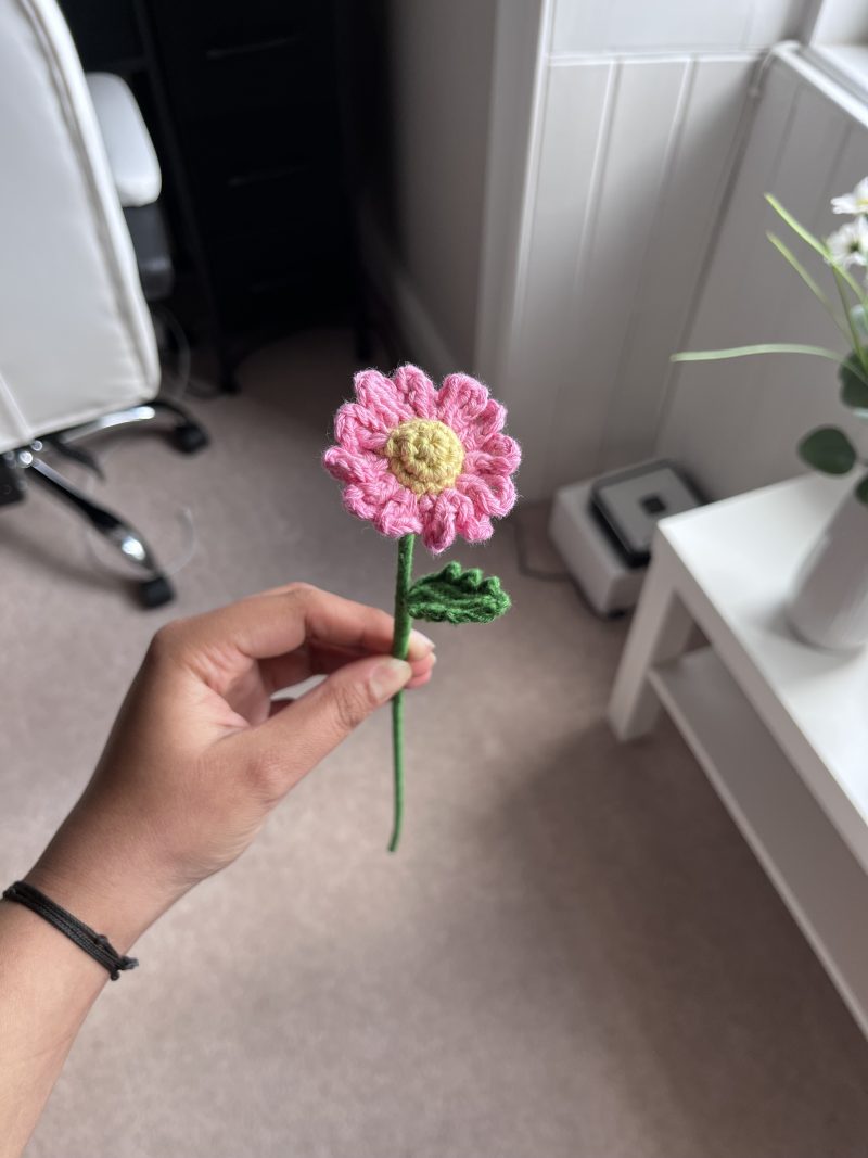 14 Handmade Crochet Daisy Flowers