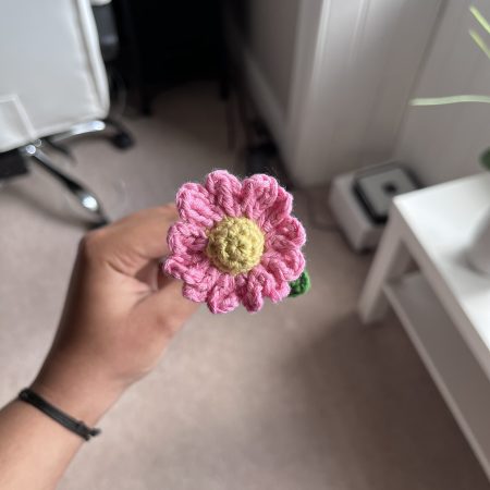 14 Handmade Crochet Daisy Flowers