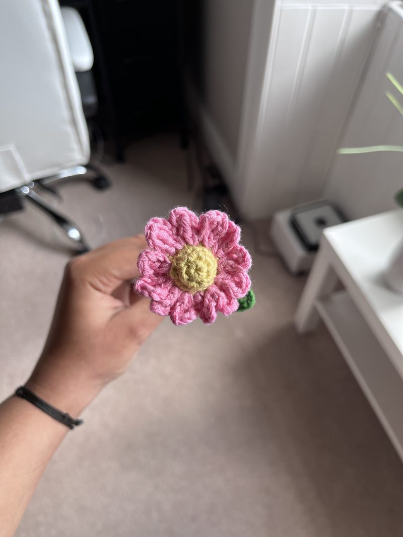 14 Handmade Crochet Daisy Flowers