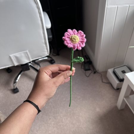 14 Handmade Crochet Daisy Flowers