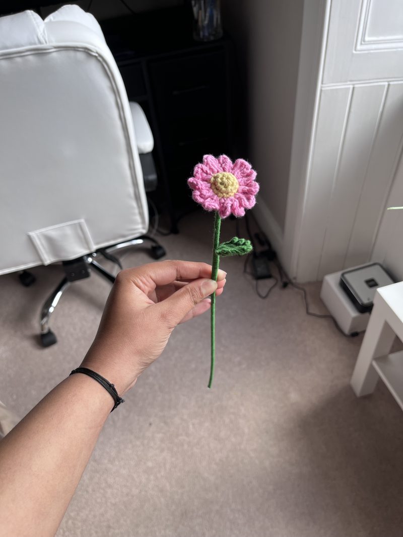 14 Handmade Crochet Daisy Flowers