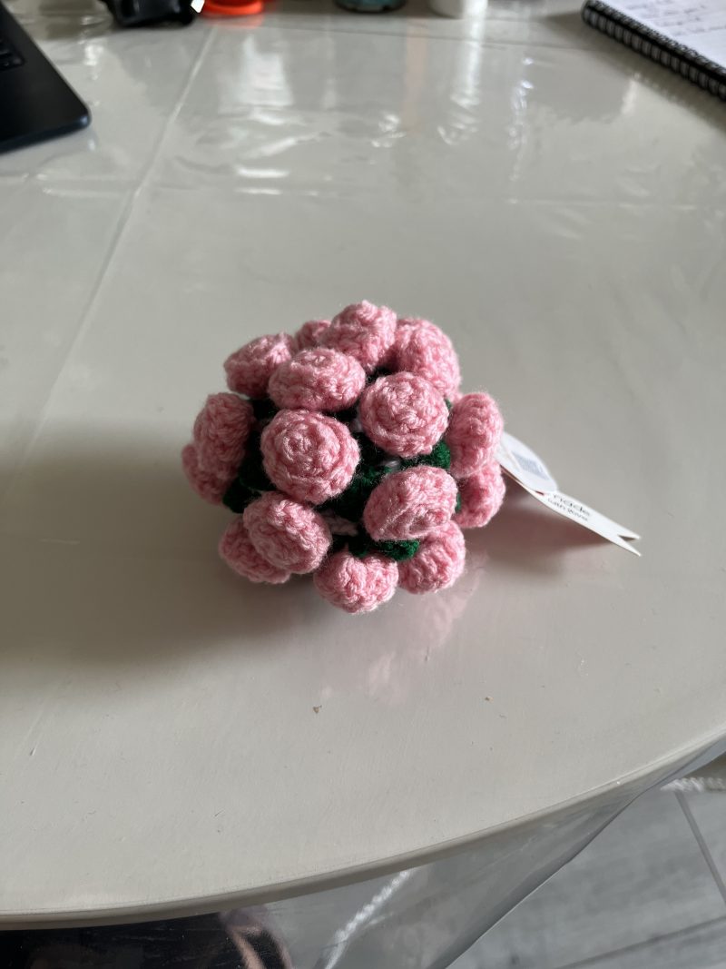 Handmade Crochet Rose Coaster with Pot