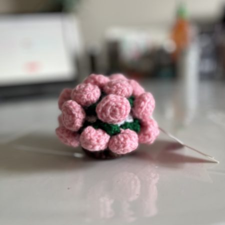Handmade Crochet Rose Coaster with Pot