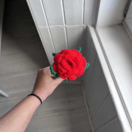 Handmade Crochet Roses- Set of 5