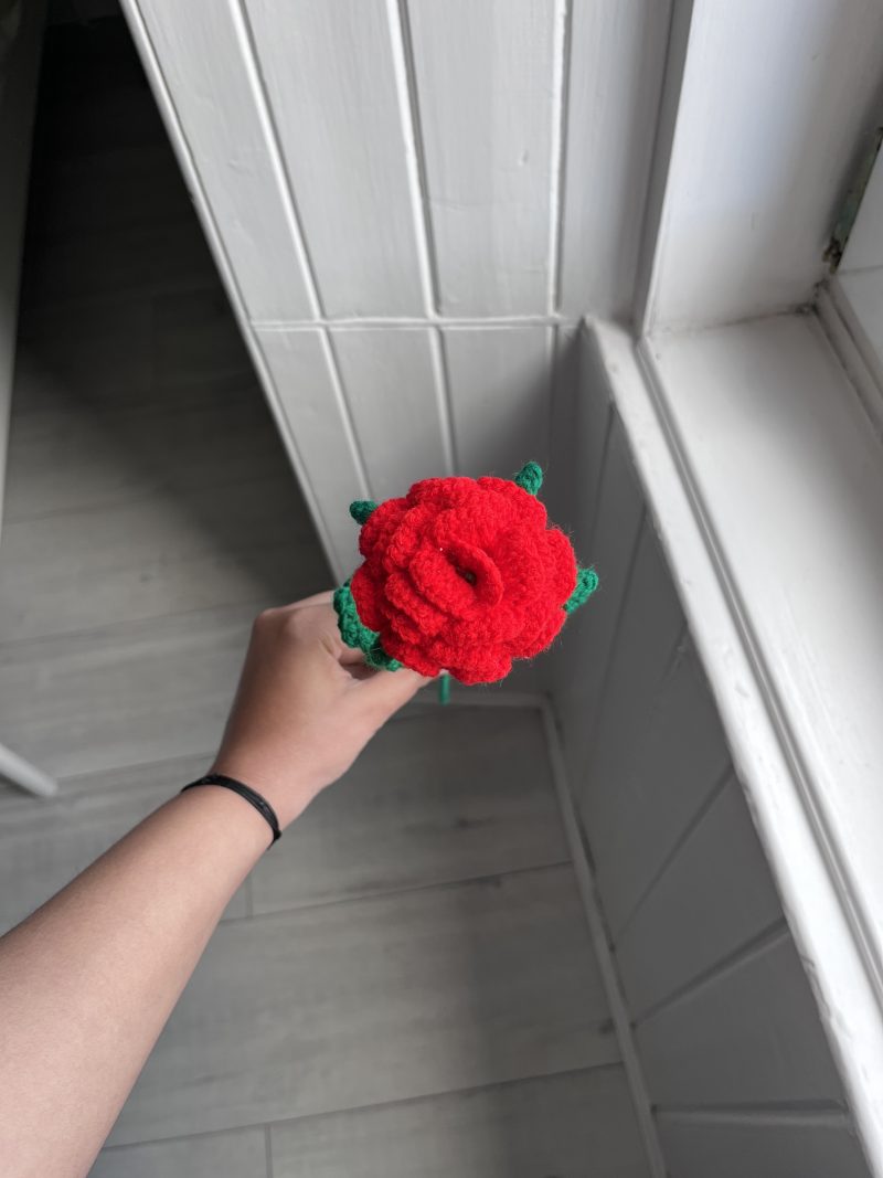 Handmade Crochet Roses- Set of 5