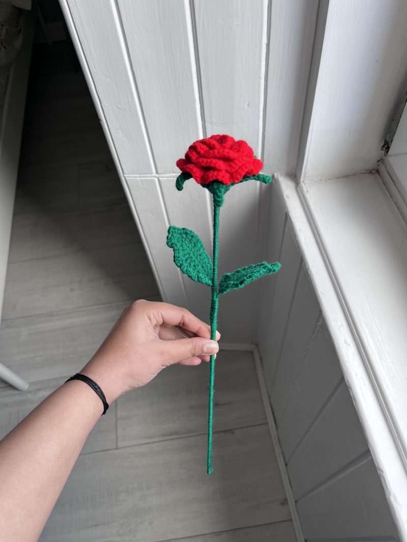 Handmade Crochet Roses- Set of 5