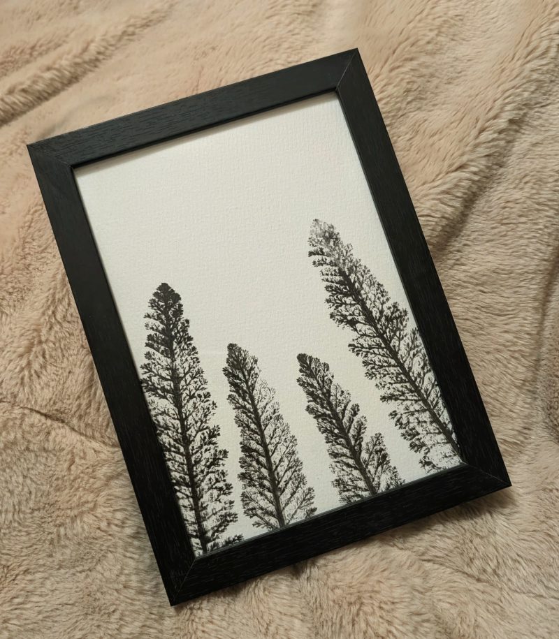 Original black and white printed lower leaf print