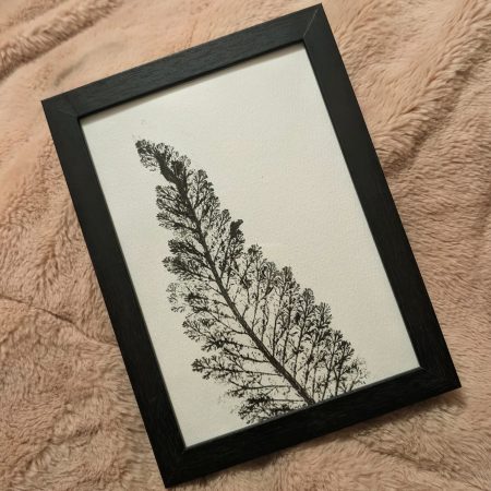Single leaf print framed 7x5