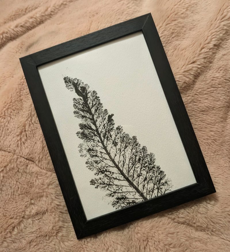 Single leaf print framed 7x5