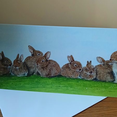 Rabbits card with white envelope, Rabbits blank card