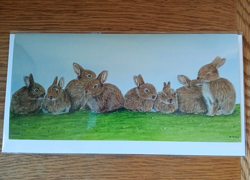 Rabbits card with white envelope, Rabbits blank card